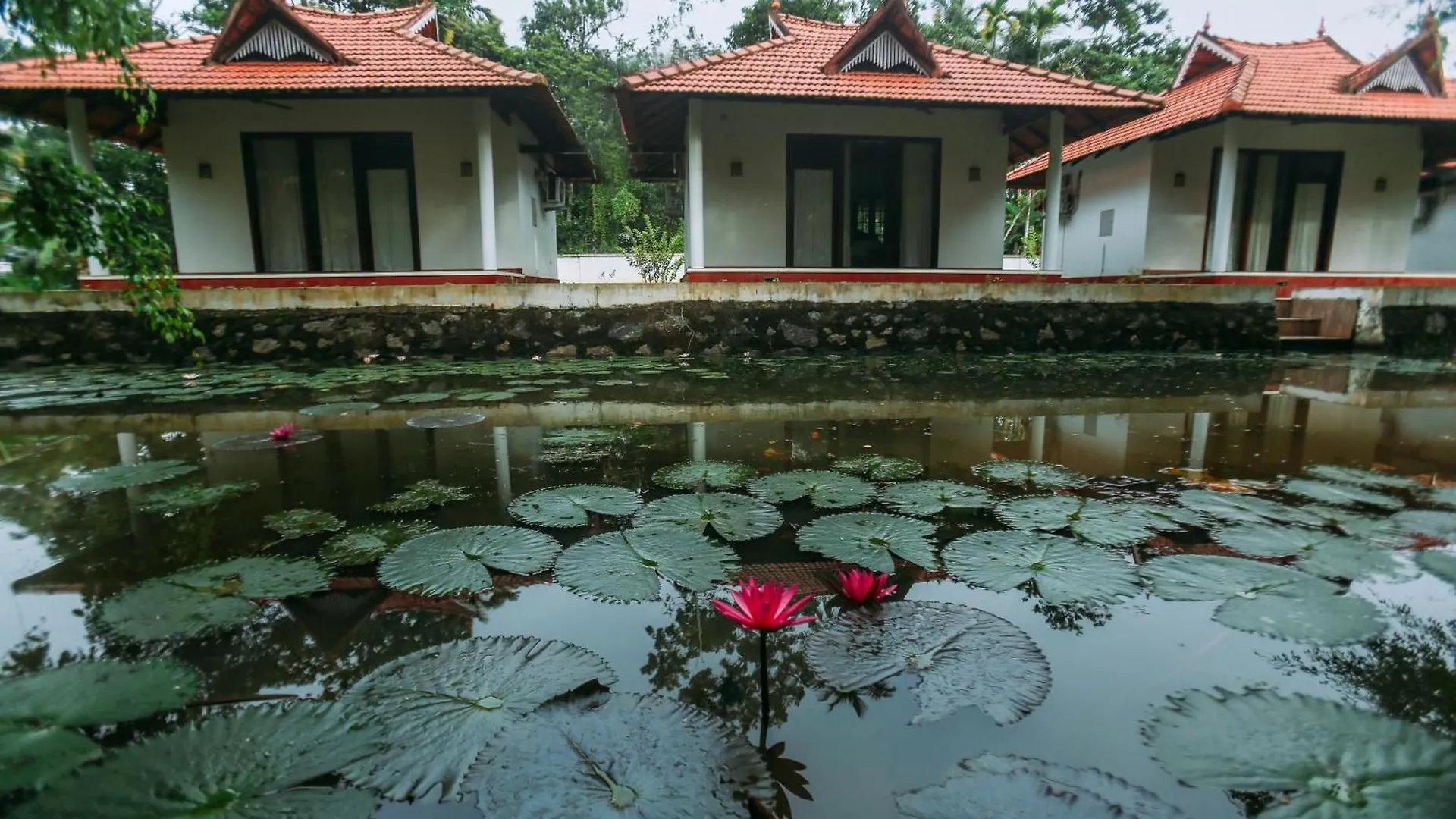 ****  Palmgrove Lake Resort Alappuzha India