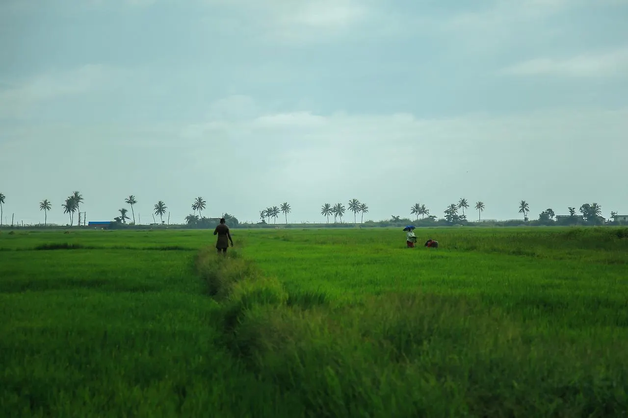 Palmgrove Lake Resort Alappuzha
