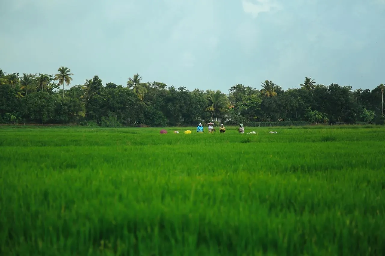 ****  Palmgrove Lake Resort Alappuzha India